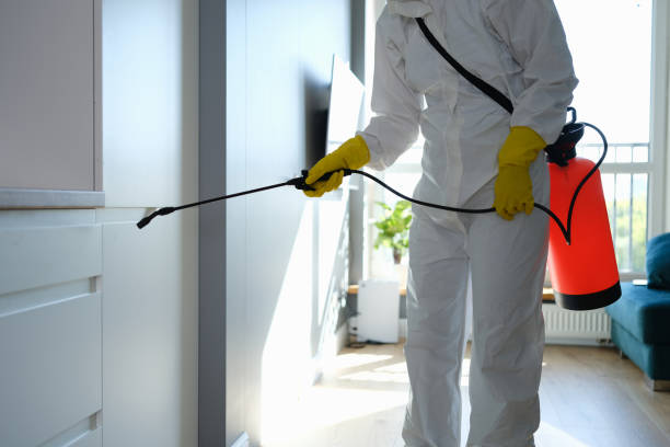 Best Mold Cleaning Services  in Milton, GA