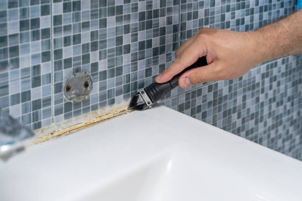 Best Mold Testing  in Milton, GA