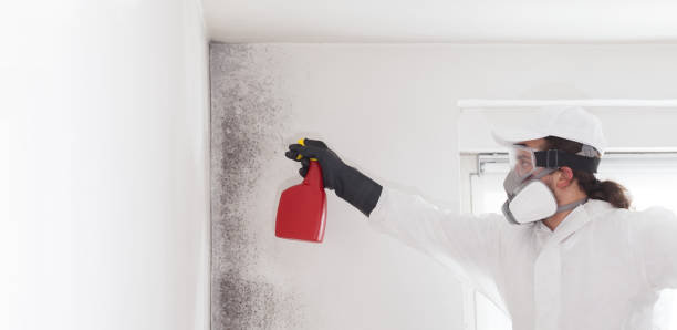 Best Mold Remediation  in Milton, GA