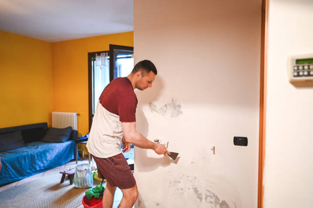 Best Commercial Mold Removal  in Milton, GA